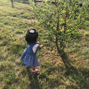 Meet your Posher, Anna